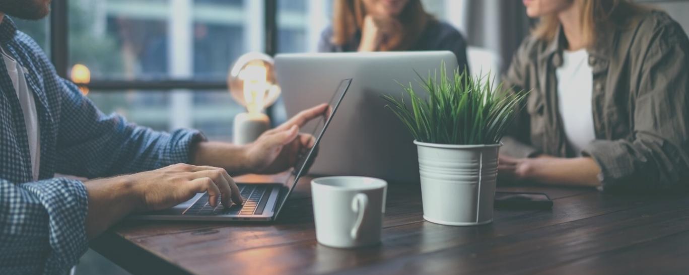 Participantes colaborando en ejercicios prácticos durante el webinar